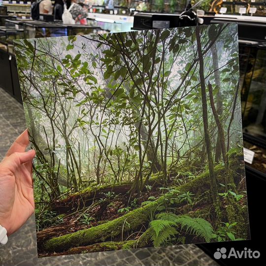 Фон для террариума, влажная камера, укрытие
