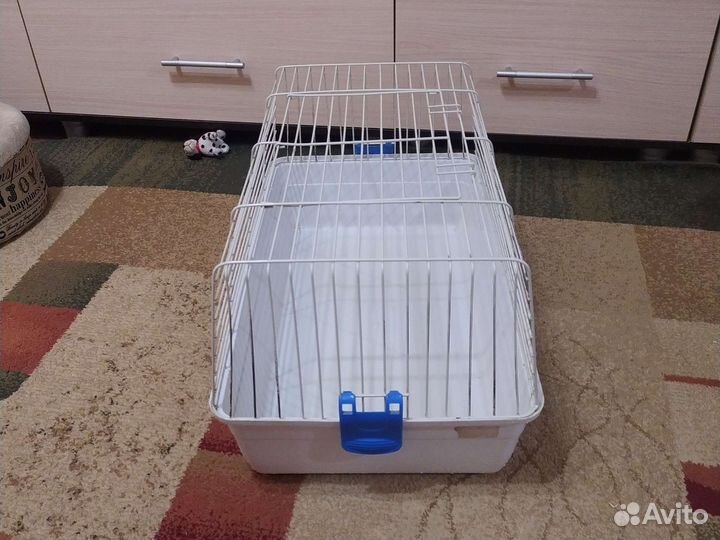 Клетки для морской свинк