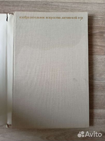Книга об изобразительном искусстве Литовской сср