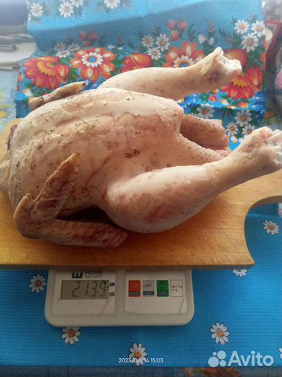Мясо домашней птицы