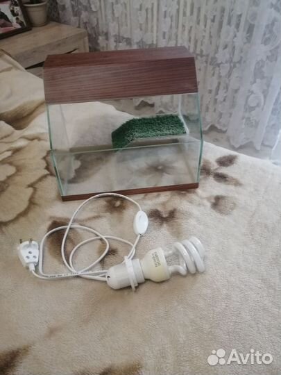 Аквариум(террариум)