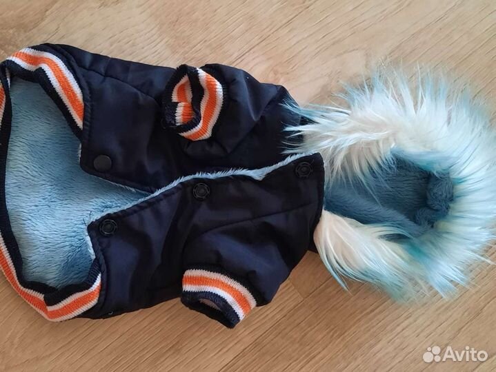 Куртка для той-терьера