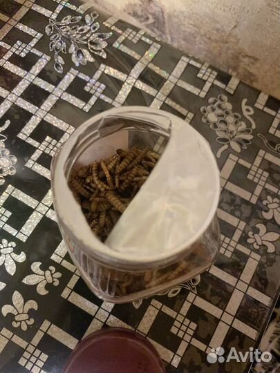 Лакомство Little One для грызунов