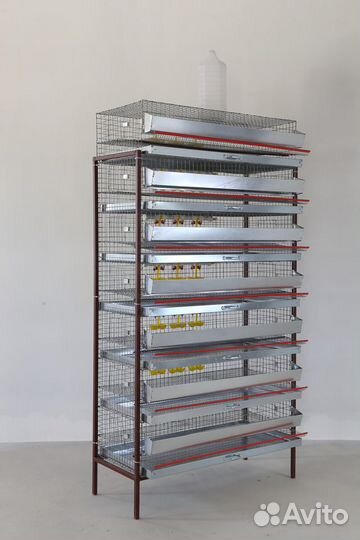 Клетка для перепелов на 350 голов (кп-350)