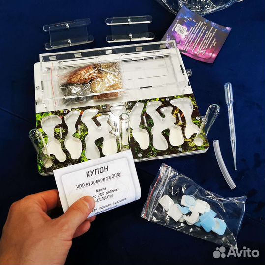 Муравьиная ферма Формикарий