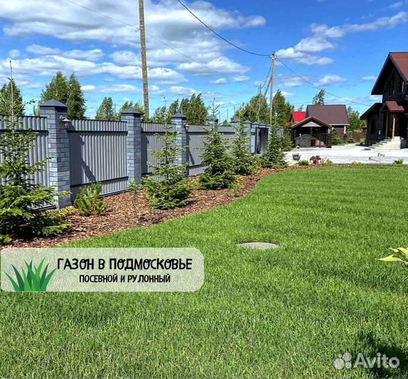 Газон. Рулонный газон