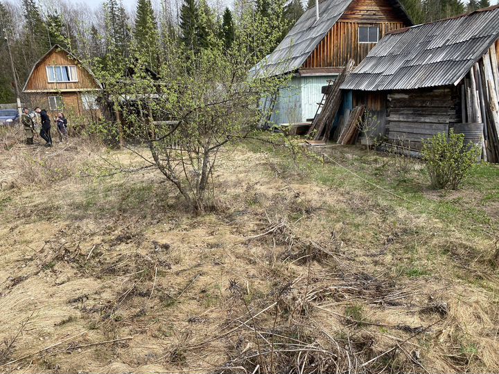 Участок 5,5 сот. (СНТ, ДНП)