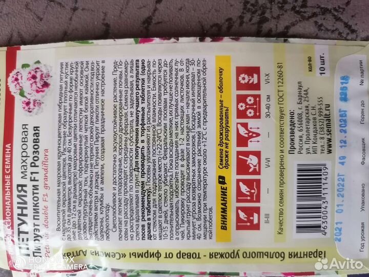 Семена петунии