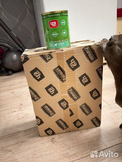 Мясные консервы для собак