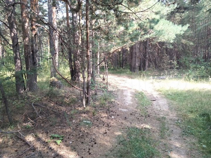 Участок 17,1 сот. (ИЖС)