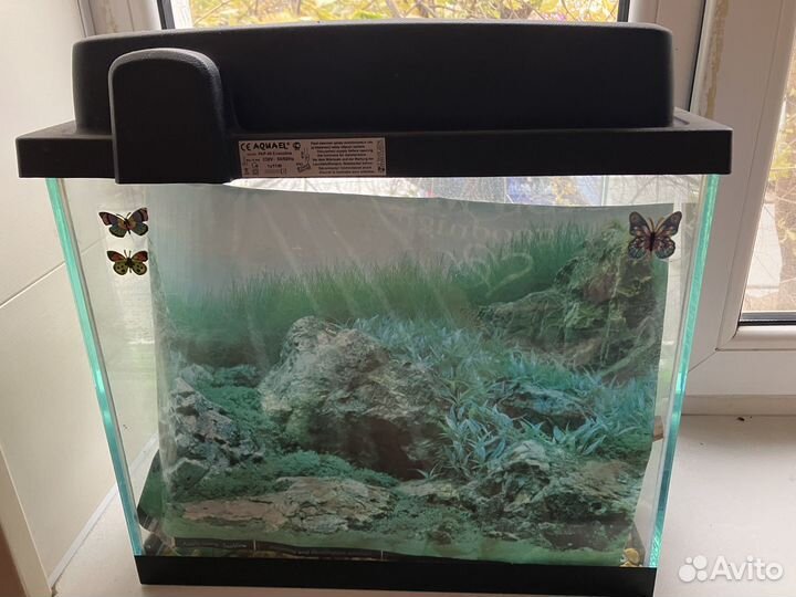Аквариум