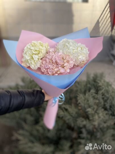 Цветы/доставка/букеты/букет из хризантем/букет роз