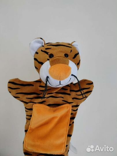 Лидер сказки, книга