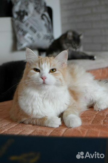 Карамелька