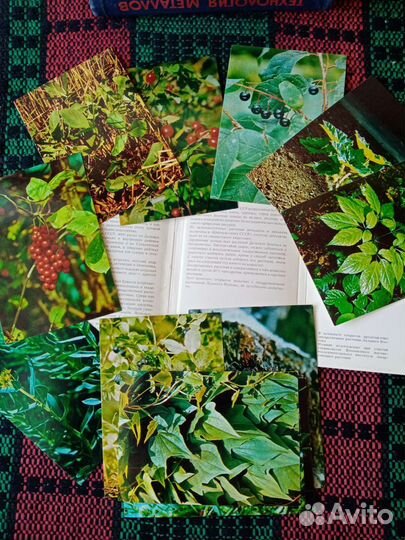 Наборы открыток