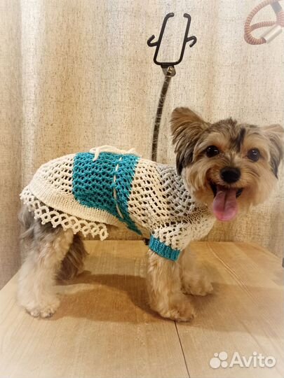 Летняя вязанная кофточка для собаки