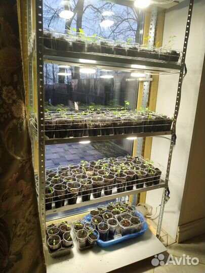 Стеллаж под рассаду 1200х600х200, 4 полки