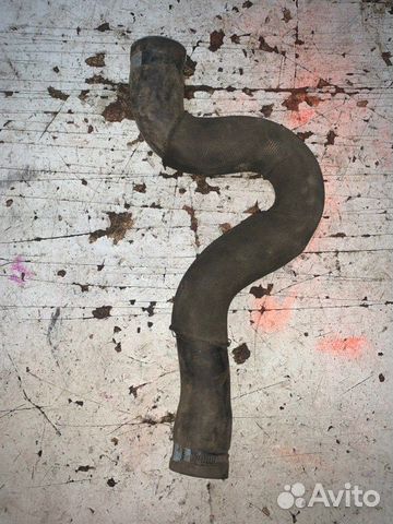 Шланг радиатора верхний Peugeot 308 1