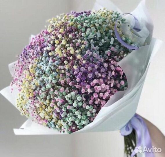 Радужная гипсофила, гигант из гипсофилы, доставка