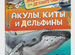 Книга Акулы, киты и дельфины (Энциклопедия)