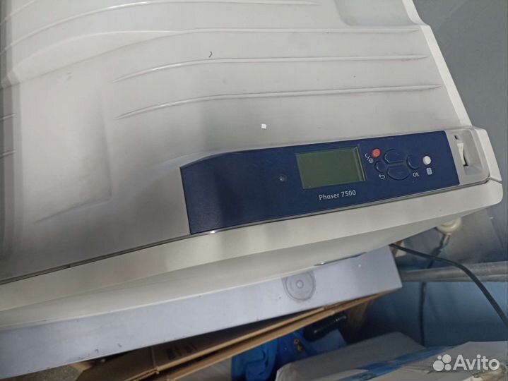 Принтер xerox phaser 7500
