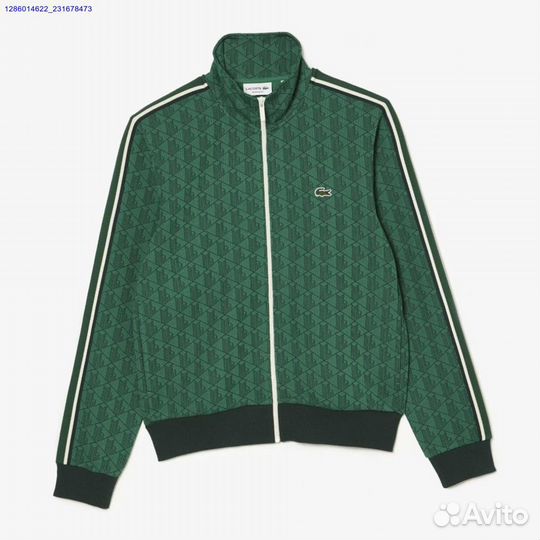 Мужской костюм lacoste (Арт.26779)