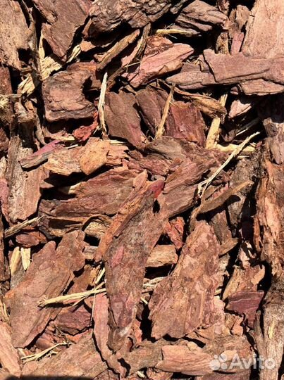 Мульча из лиственницы. Кора лиственницы