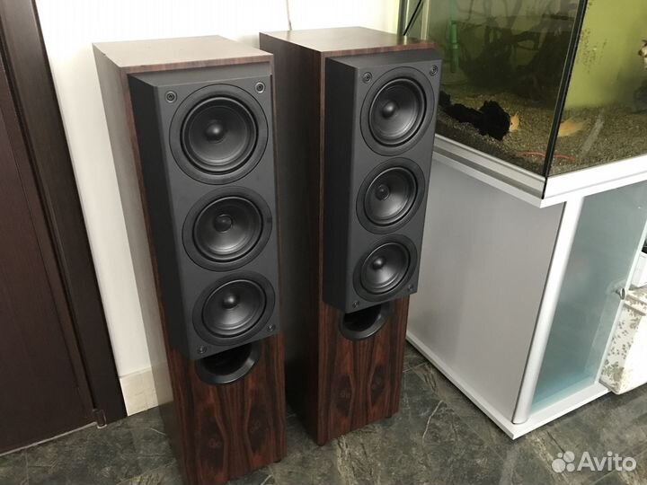 Kef 105.3 store