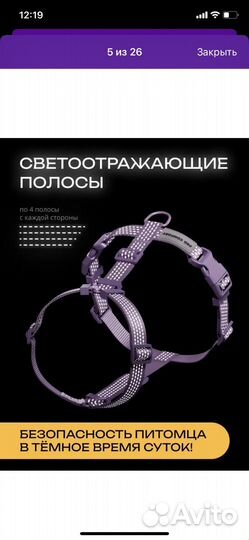 Анатомическая шлейка для маленьких собак