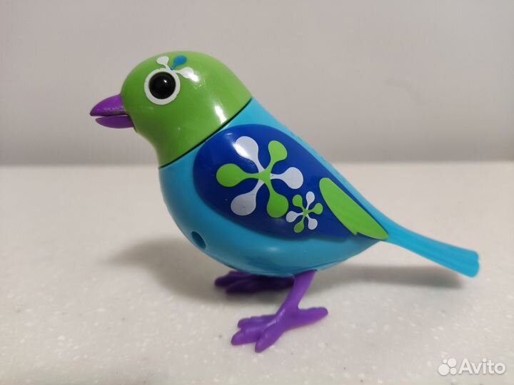 Поющая птичка Digibirds