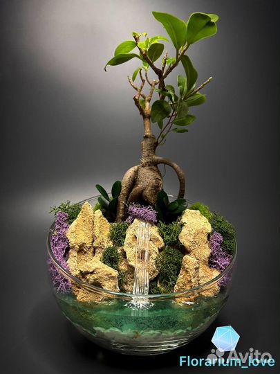 Флорариум подарок на 8 марта