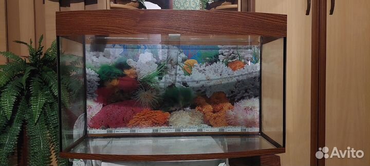 Аквариум с тумбой бу