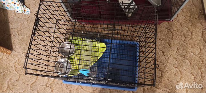 Клетка для грызунов маленькая бу