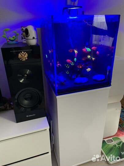 Аквариум с тумбой 500х500х550мм