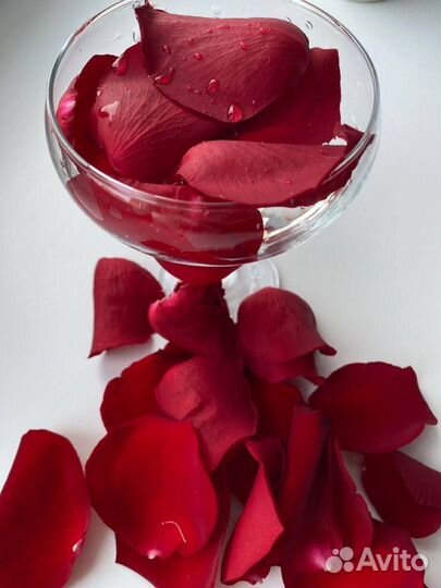 Лепестки роз