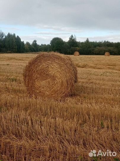 Солома в рулонах