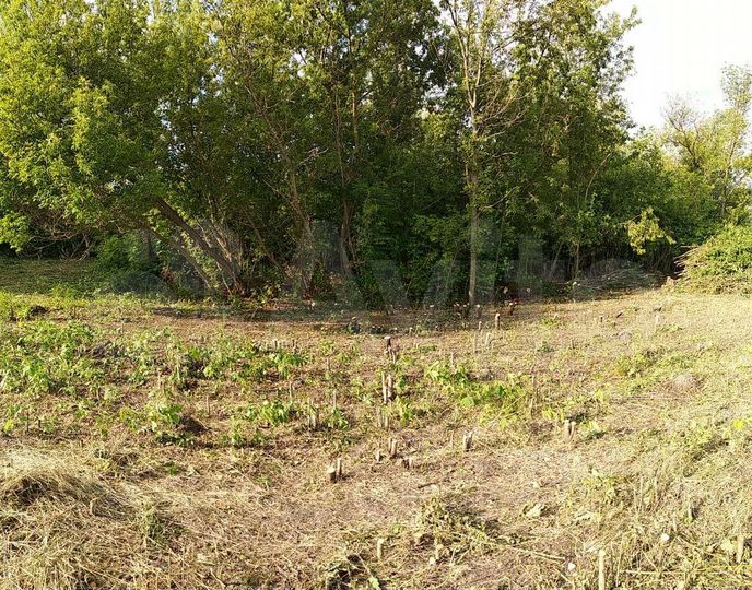 Участок 56 сот. (ИЖС)