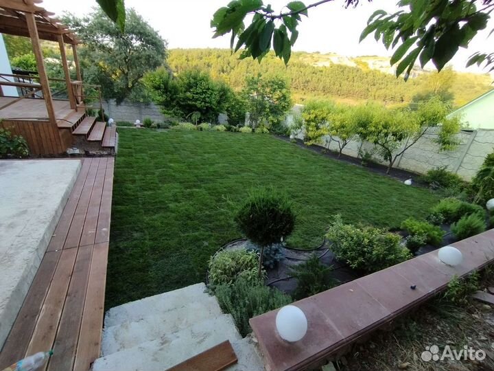 Рулонный газон