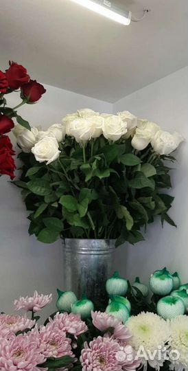 Цветы розы букет