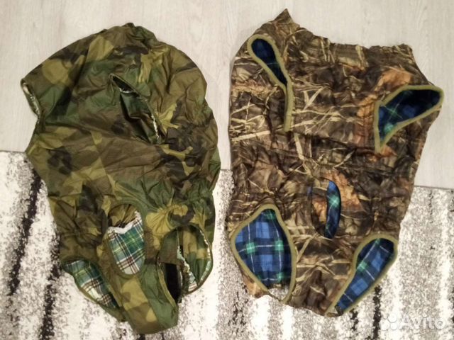 Одежда для американского бульдога