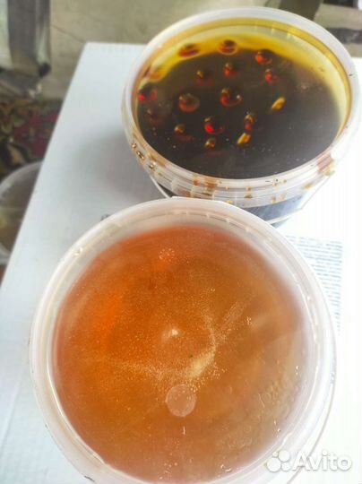 Свежий мед 2023года