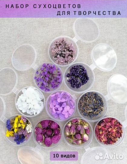 Сухоцветы для творчества