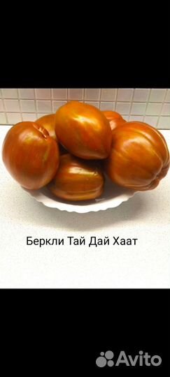Семена сортовых томатов