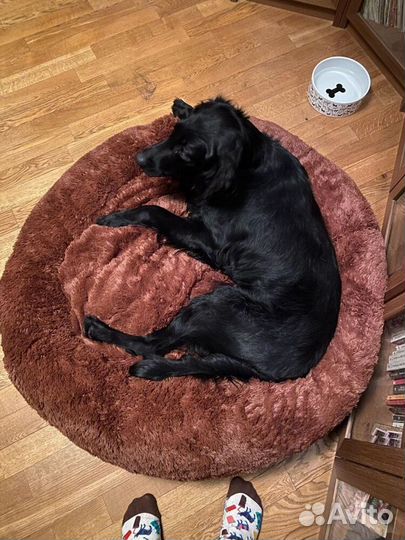 Лежанка для собак и кошек Бесплатная доставка