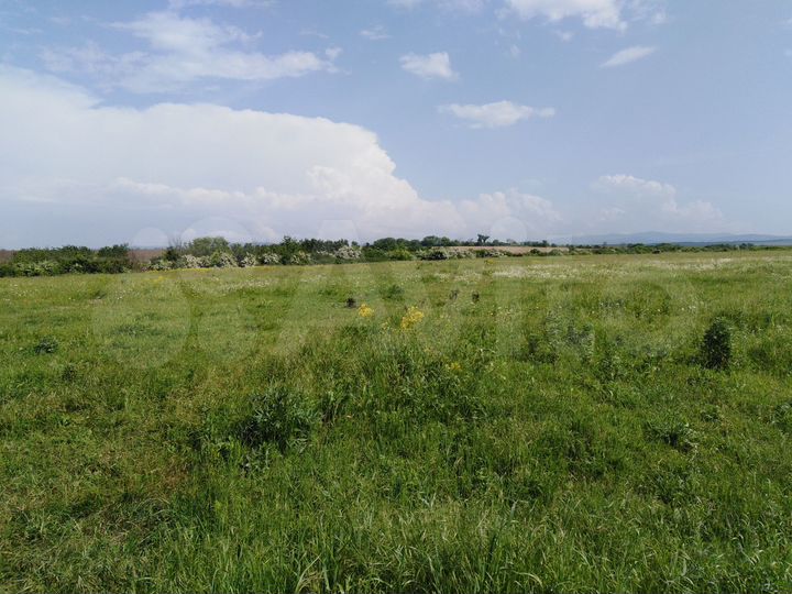 Дом 256,8 м² на участке 10 сот.