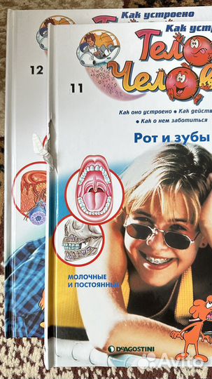 Комплект детских книг «Тело человека» 2007 г