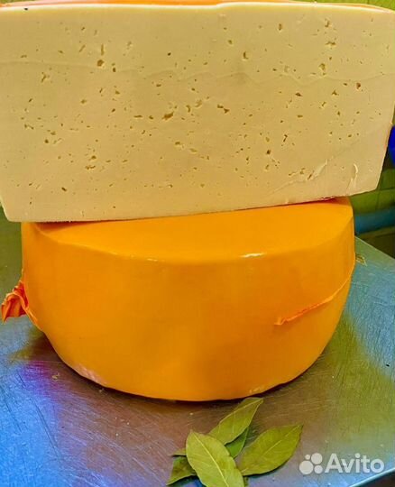 Сыр / Белоруссия