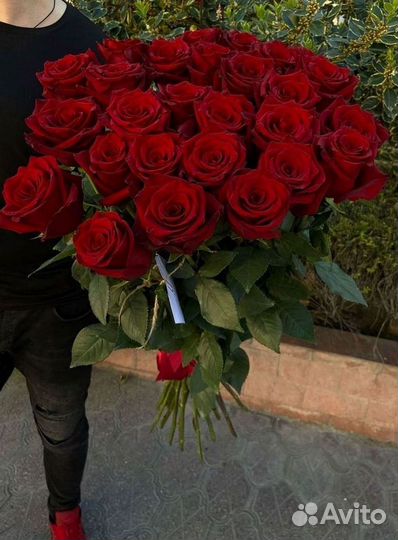 Метровые розы