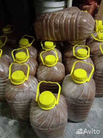 Молочный шоколад