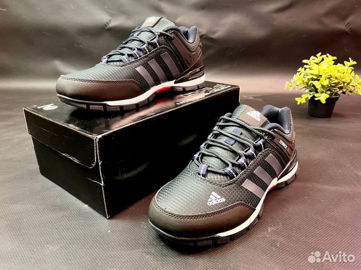 Кроссовки Adidas Terrex